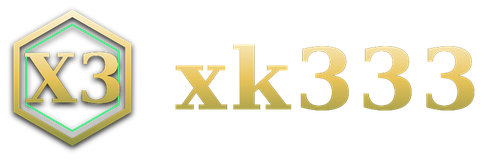 xk333 logo